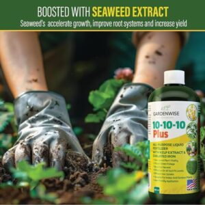 GARDENWISE 10-10-10 Fertilizer for All Purpose Plants - Liquid Fertilizer with Seaweed Kelp & Iron - Plant Food Outdoor & Indoor Plant Food, Vegetables, Flowers, Lawn & Garden 10 10 10 Fertilizer 8oz