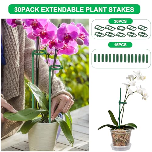 30 Pack Plant Stakes 12 Inch, Adjustable Length Plant Support Stakes for 3 Sizes (12, 24 or 36 Inches), Green Plant Sticks Fiberglass Single Stemmed Flower Support for Potted Indoor Plants