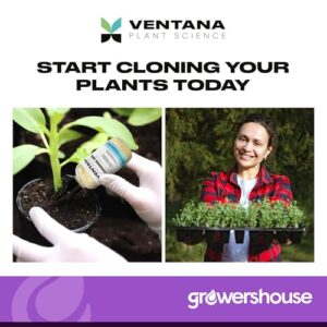 Ventana Plant Science Cloning Gel - Cloning Paste with Rapid Rooter Rooting Hormone - 0.5% IBA Indole-3 Butyric Acid Vitamin B-1 Added, Essential for Healthy Plant Growth, Dye-Free