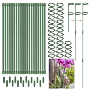 30 Pack Plant Stakes 12 Inch, Adjustable Length Plant Support Stakes for 3 Sizes (12, 24 or 36 Inches), Green Plant Sticks Fiberglass Single Stemmed Flower Support for Potted Indoor Plants