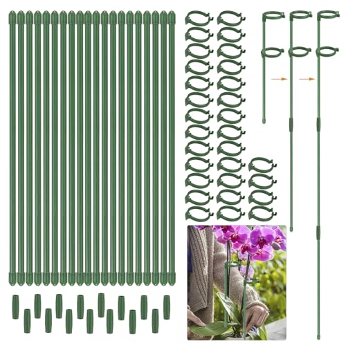 30 Pack Plant Stakes 12 Inch, Adjustable Length Plant Support Stakes for 3 Sizes (12, 24 or 36 Inches), Green Plant Sticks Fiberglass Single Stemmed Flower Support for Potted Indoor Plants