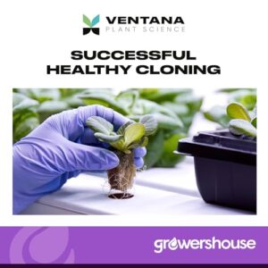 Ventana Plant Science Cloning Gel - Cloning Paste with Rapid Rooter Rooting Hormone - 0.5% IBA Indole-3 Butyric Acid Vitamin B-1 Added, Essential for Healthy Plant Growth, Dye-Free