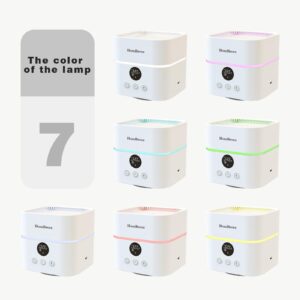 HomBreez Small Room Air Purifier and Humidifier Combo, Air Purifiers for Home Pets, Air Purifier for Dorm, Bedroom, Office, Living Room, Air Purifier for Baby, White(WG-03)