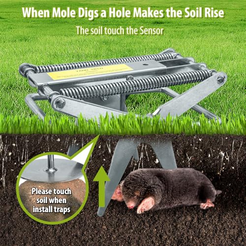 YardYield Mole Trap,Galvanized Steel Mole Scissor Trap,Reusable Mole Gopher Trap,Easy Set Quick Capture Gopher Trap for Lawns (Silver)