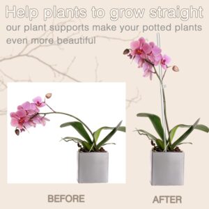 Plant Stakes,Plant Sticks 20PCS Acrylic Clear Plant Support Stakes,18 Inches Garden Single Stem Orchid Stakes for Indoor and Outdoor Plants,Orchid,Potted Plants,Tomatoes,Flowers（with 20PCS Clips）