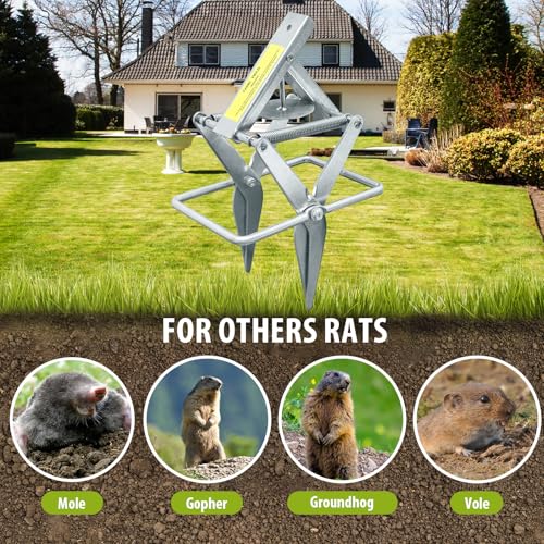 YardYield Mole Trap,Galvanized Steel Mole Scissor Trap,Reusable Mole Gopher Trap,Easy Set Quick Capture Gopher Trap for Lawns (Silver)