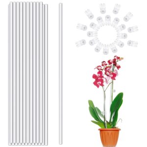 plant stakes,plant sticks 20pcs acrylic clear plant support stakes,18 inches garden single stem orchid stakes for indoor and outdoor plants,orchid,potted plants,tomatoes,flowers（with 20pcs clips）