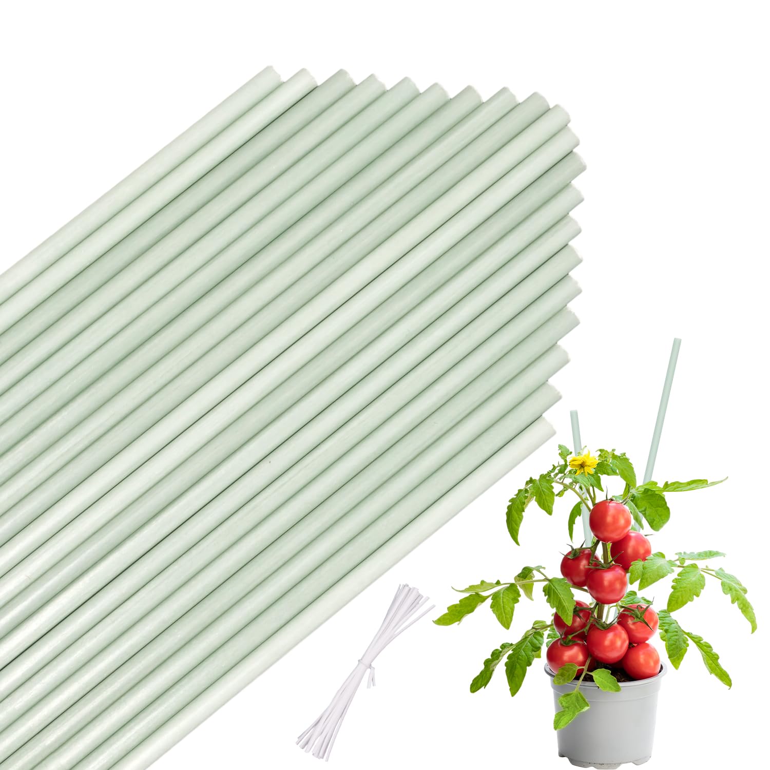 Plant Stakes, Plant Support Stakes for Indoor and Outdoor Plants,20Pcs Plant Sticks Suit for Gardening Floral Potted Tomatoes,Vegetables Beans Orchid Climbing Plants -18 inches