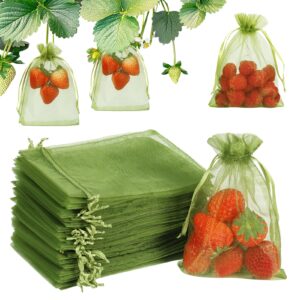 shintop 100pcs fruit protection bags, 4x6 inch green fruit netting cover drawstring mesh bags pest barrier for strawberry blueberry small fruit