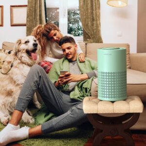 AIRROMI Air Purifiers with an Extrea Filter Covers Up to 990 sqft, Air Cleaner with Fragrance Sponge for Allergens Dust, Smoke, Odor, Dander, Pollen, H13 True HEPA 3-in-1 Filter Green