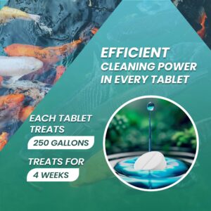 Koi Pond Cleaner Tablets - Makes The Pond Clear with Natural Pond Bacteria & Enzymes, Ideal for Koi Fish Pond - 25 Pcs. Koi Pond Muck and Sludge Remover Tablets, Safely Provides Clean and Clear Water