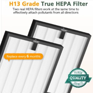 HY4866 Replacement Filter Compatible with MORENTO HY4866, WESTHEY HY4866, YIOU M1 Air Purifier, 3-in-1 H13 Ture HEPA Replacement Filters (Extra 4 Pre-filter) Enhanced Version for HY4866