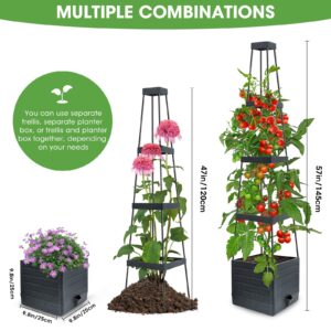 MYMULIKE Raised Garden Bed Planter Box with Trellis, 58” Tomato Cage Planter Raised Garden Bed with Trellis for Climbing Vegetables Plants Tomato Cage w/Self-Watering, Indoor Outdoor Use (2)