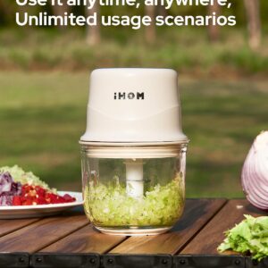 Garlic Chopper, IMC-3001E Electric Mini Chopper With 300 ml Glass Bowl & Triple-layer Blade, Portable Veggie Chopper With Type-C Charging Cable to Cutting Onions, Peppers, for Home, Camping, Travel