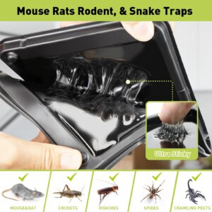 Ultra-Efficient Glue Mouse & Rat Traps -12 Pack Large Heavy Duty Glue Traps for Safe Home Pest Control. Pre-Baited, Non-Toxic Sticky Boards for Mice, Rats & More. Easy to Use