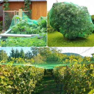 Bird Netting for Garden, 13Ft x 33Ft Green Anti Bird Protection Net, Plant Tree Netting for Protecting Fruit and Vegetables with 50 Ties and 20 Tacks