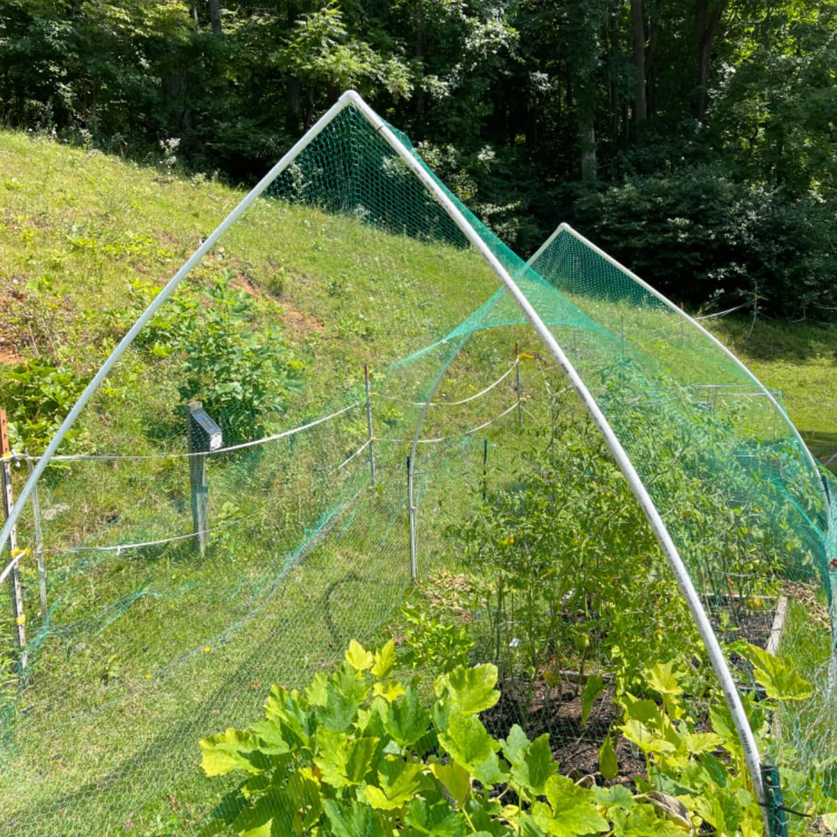 Bird Netting for Garden, 13Ft x 33Ft Green Anti Bird Protection Net, Plant Tree Netting for Protecting Fruit and Vegetables with 50 Ties and 20 Tacks