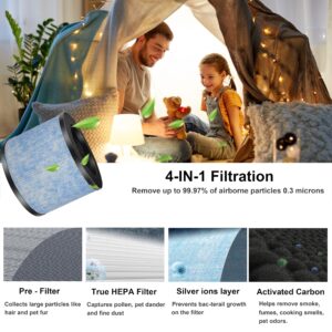 Skydiras F100 True HEPA Repalcement Filter, Compatible with Instant AP100 Air Purifier, Compare to F100 HEPA Filter, Removes Dust/Odors/Allergens, 2-Pack