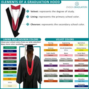 Endea Graduation Bachelors Hood for Science, Mathematics, Political Science, College Degrees - University Academic Regalia (Gold/Gold/Black)