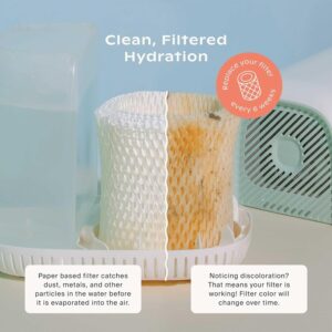 Canopy Original Bedside Humidifier Filters, Pack of 1 Filter Wick, Replacement Filters - Compatible with Canopy Bedside Humidifiers, Made with Wood Pulp, Paper Filter, Replace Every Six Weeks