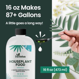 16oz Houseplant Fertilizer, All Purpose Indoor Plant Food - Makes 87+ Gallons, Indoor Plant Fertilizer for Fiddle Leaf Fig Tree, Pothos and More, 6-2-4 NPK, Concentrated Fertilizer for Indoor Plants