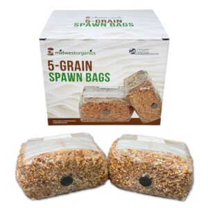 myco labs premium 5-grain mushroom spawn bags | sterilized grain spawn | injection ports | 2 quarts each bag | 2 bags per box