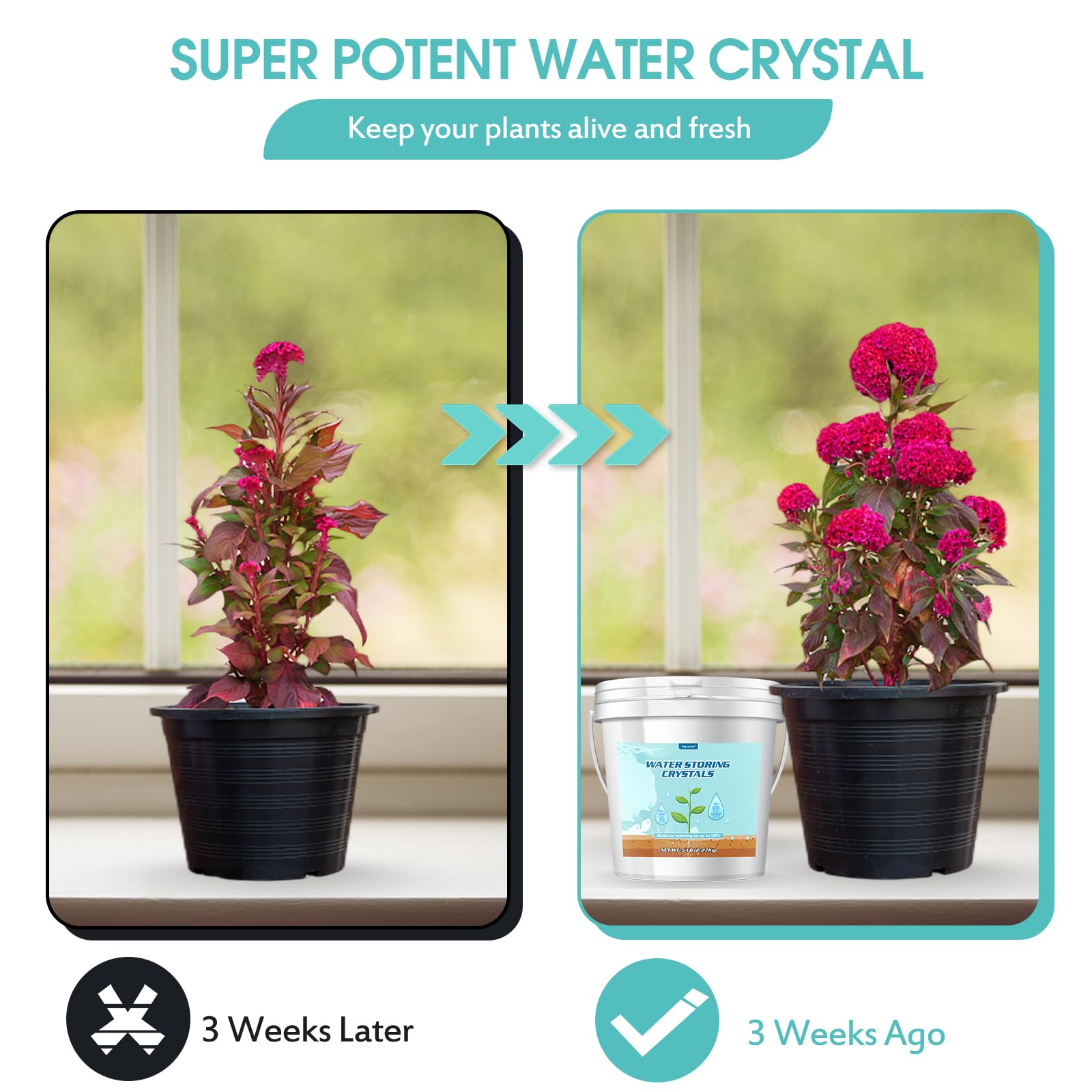 Oycevila 5LB Water Storing Crystals for Plants with Spoon, Water Gel Solves Plant Over-Watering and Drought Problems, Keeps The Soil Moist, Small Water Storing Polymer Crystals for Plants Candle