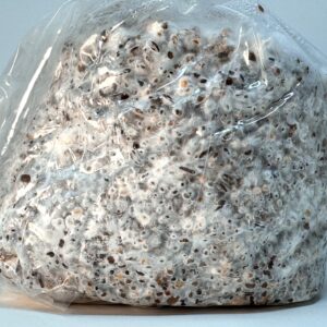 Myco Labs Premium 5-Grain Mushroom Spawn Bags | Sterilized Grain Spawn | Injection Ports | 2 Quarts Each Bag | 2 Bags per Box