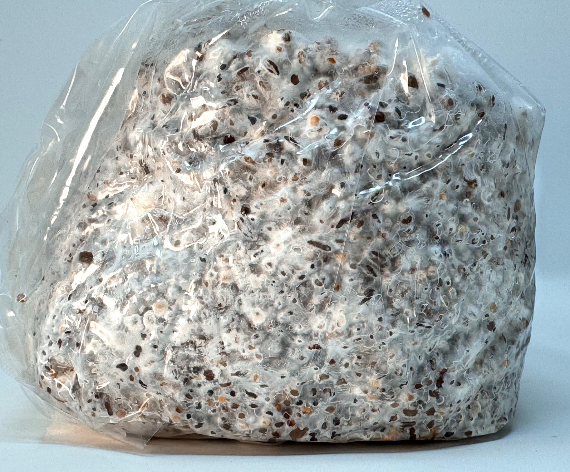 Myco Labs Premium 5-Grain Mushroom Spawn Bags | Sterilized Grain Spawn | Injection Ports | 2 Quarts Each Bag | 2 Bags per Box