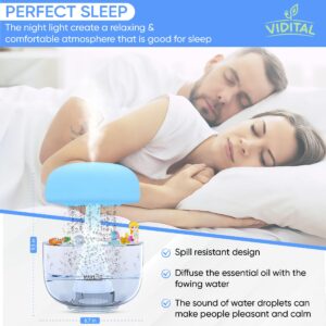 VIDITAL Raining Cloud Diffuser with Rain 7 Changing Colors, Rain Cloud Humidifier Night Light, White Noise, Relaxing Rain Sounds Aid, ECO-Friendly, 6 Decorations Included