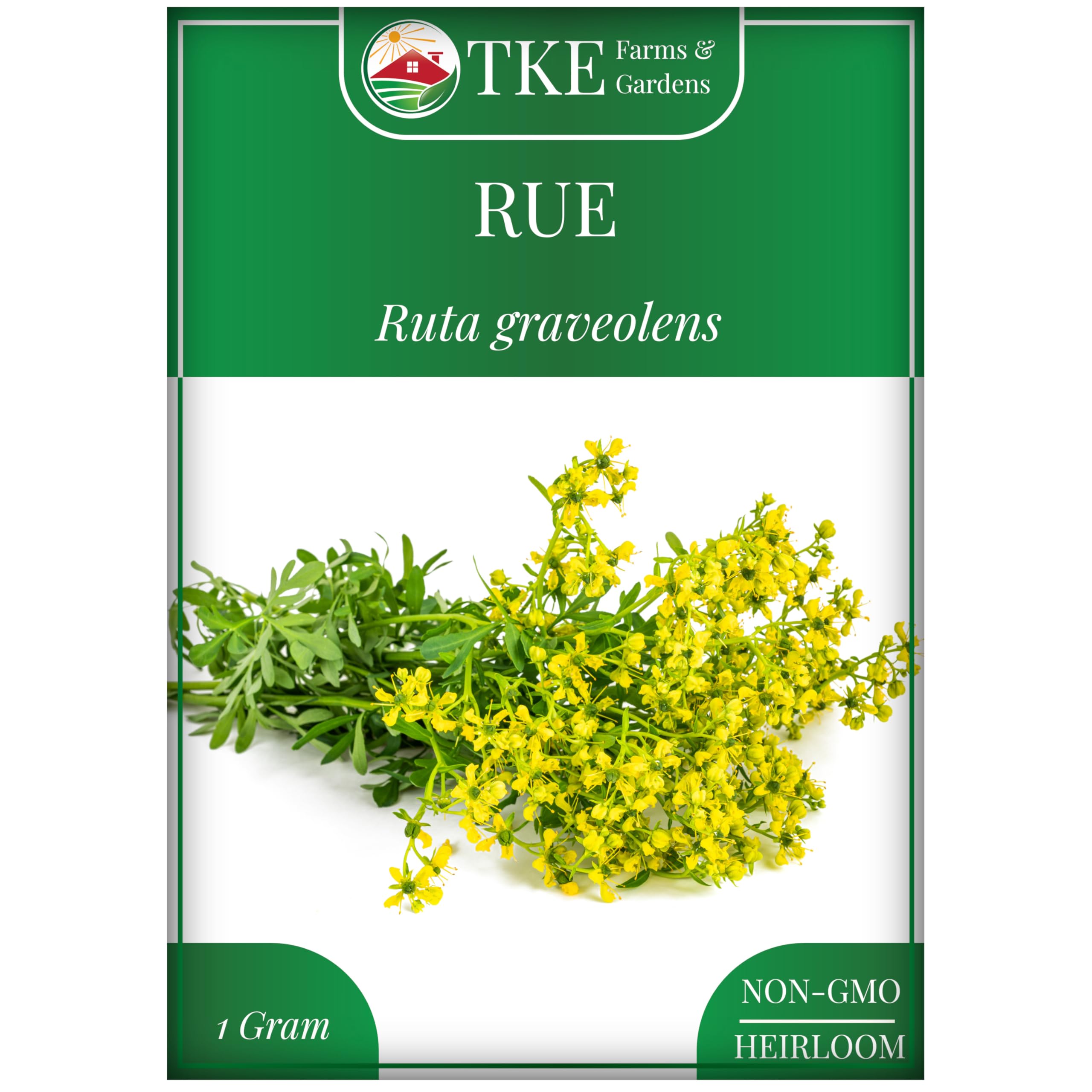 TKE Farms & Gardens - Rue Seeds for Planting, 1 Gram, 500 Heirlooom Seeds, Non-GMO, Instructions Included, Ruta graveolens, Qty 1