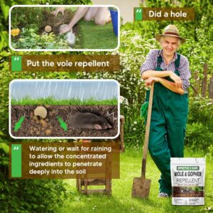 Pufado Mole Repellent, Gopher Repellent Outdoor, Vole Repellent, Mole Deterrent for Yard, Mole Repellant for Lawn, Mole Control, Keep Mole and Vole Out of Your Garden, Safe Around Pet & Plant-8 Packs