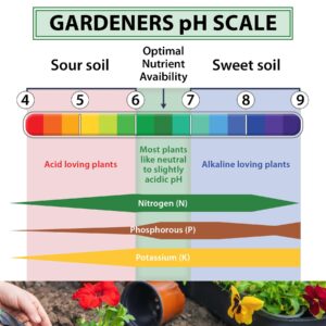 Soil pH Paper Test Kit – 50 Tester Strips (3.5-9 Range) – Use for Testing Garden Home Lawn Grass Vegetable Gardening Dirt Yard Compost Outdoor and Indoor Plants…