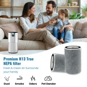 HC502 HP202 HP201 True HEPA Air Purifier MAX Filter Compatible with Shark HP200 Series, HP202, HP201, HP232, HP302 and HC502, Part # HE2FKBAS, HE2FKBASMB, 2 Pack