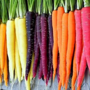 Rainbow Carrot Seeds for Planting Heirloom Non GMO Packets 750 Seeds – Plant & Grow Rainbow Carrots in Home Outdoor Garden, Great Gardening Gift – 1 Packet