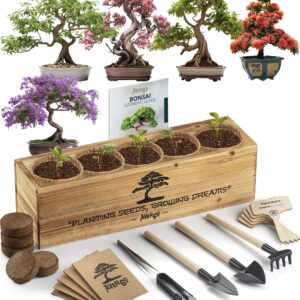 Avergo Bonsai Tree Kit – 5X Unique Japanese Bonzai Trees | Complete Indoor Bonsai Starter Kit for Growing Bonsai Plants with Tools & Planters – Gardening Gifts for Women & Men