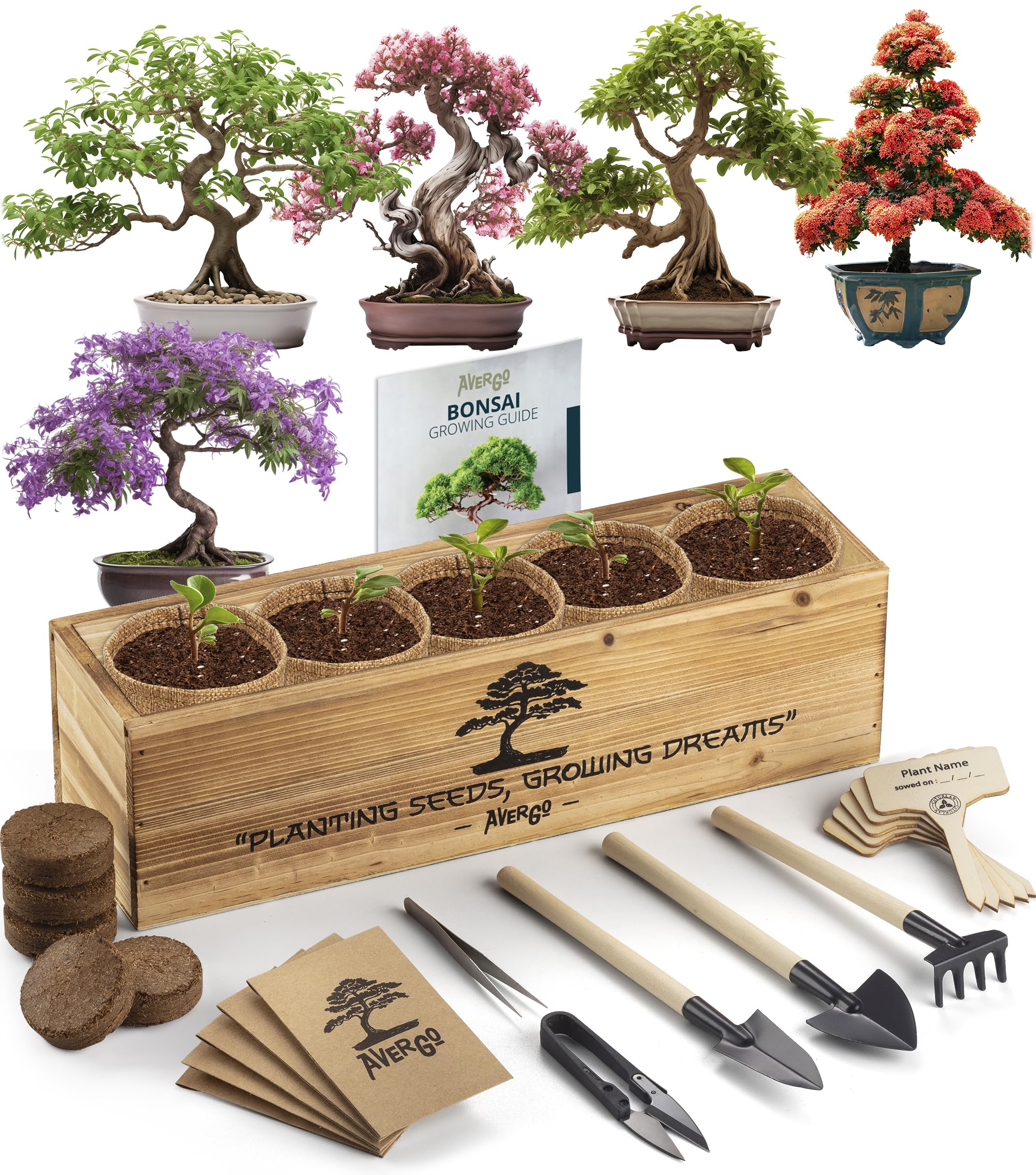 Avergo Bonsai Tree Kit – 5X Unique Japanese Bonzai Trees | Complete Indoor Bonsai Starter Kit for Growing Bonsai Plants with Tools & Planters – Gardening Gifts for Women & Men