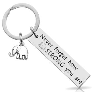 oehedou elephant gifts for women strong women gifts small gifts for women elephant keychain best inspirational gifts for women uplifting gift for friend family animal lovers you are strong gifts