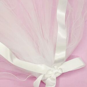 Ricawa Bridal Veil with Headband Sash Glasses 4 PCS Bachelorette Party Decorations Bridal Shower Supplies Bridesmaid Favors