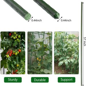 Garden Plant Stakes 57 Inch (Approx 5Ft) Steel Plant Stick Support, 25 Pack Tomato Stakes for Growing Climbing Plants, Potted Plants, Tomatoes, Trees, Cucumber, Beans, Fences Poles