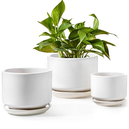 LE TAUCI Plant Pots Indoor, 4.3+5.3+6.8 Inch, Set of 3, Ceramic Planters with Drainage Hole and Saucer, Modern Indoor Flower Pot with Hole Mesh Pad, Gifts for Mom, Classic White