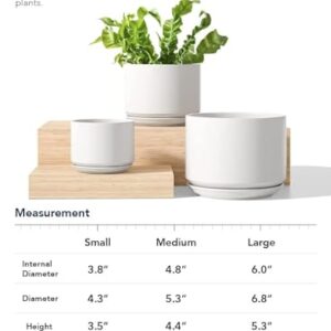 LE TAUCI Plant Pots Indoor, 4.3+5.3+6.8 Inch, Set of 3, Ceramic Planters with Drainage Hole and Saucer, Modern Indoor Flower Pot with Hole Mesh Pad, Gifts for Mom, Classic White