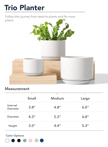 LE TAUCI Plant Pots Indoor, 4.3+5.3+6.8 Inch, Set of 3, Ceramic Planters with Drainage Hole and Saucer, Modern Indoor Flower Pot with Hole Mesh Pad, Gifts for Mom, Classic White