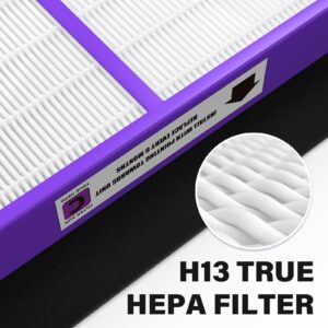 FLT5250PT True HEPA Replacement Filter Compatible with Germ-Guardian Air Purifier Filter C Pet AC5250PT AC5000E AC5300B AC5350W AC5350B CDAP5500, 2 True HEPA with 6 Carbon Pre-Filter