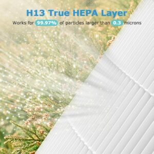 A2001 Replacement Filter, Compatible with A2001 Air Purifier, H13 True HEPA 3-in-1 High Efficiency Filtration, Compared Part #AF-2001, 2 Pack