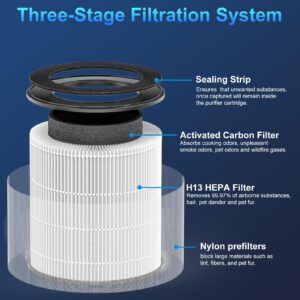 Air Purifier Filter for Tailulu D10 Air Purifier, 3-in-1 H13 Grade True HEPA Replacement Filte, D10 Replacement Filter 1 Pack