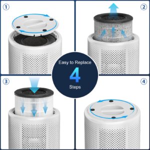 Air Purifier Filter for Tailulu D10 Air Purifier, 3-in-1 H13 Grade True HEPA Replacement Filte, D10 Replacement Filter 1 Pack