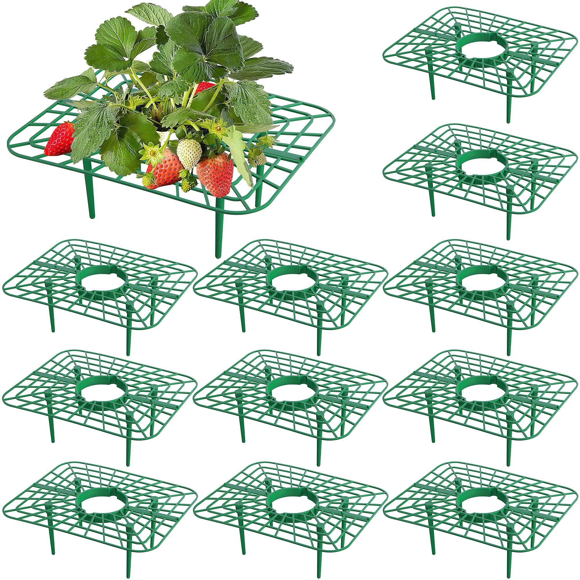 Iceyyyy 12 Packs Square Strawberry Supports-Strawberry Growing Racks- Plant Support Strawberry Stand Holder Growing Frame Keep Berries Clean (Square 12PCS)