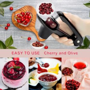 Cherry Pitter Tool - Heavy-Duty Stainless Steel Olive and Cherry Pitters Corer Tool with Space-Saving Lock Design, Multi-Function Cherries Stoner Seed Remover Tool for Making Cherry Jam (Black)