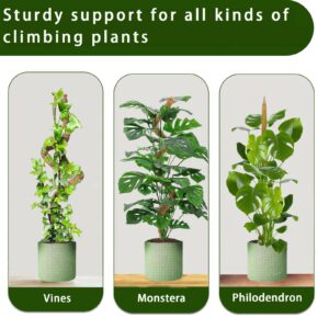 Moss Pole, 48 Inch Bendable Monstera Plant Support, Moss Poles for Climbing Plants Accessories Indoor, Coir Plant Pole Sticks Support Stakes for Potted Plants, Pothos, Philodendron, PlantPolex